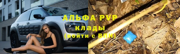 бошки Карпинск