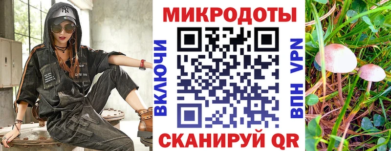 Псилоцибиновые грибы Psilocybine cubensis  Купить где  Вольск 